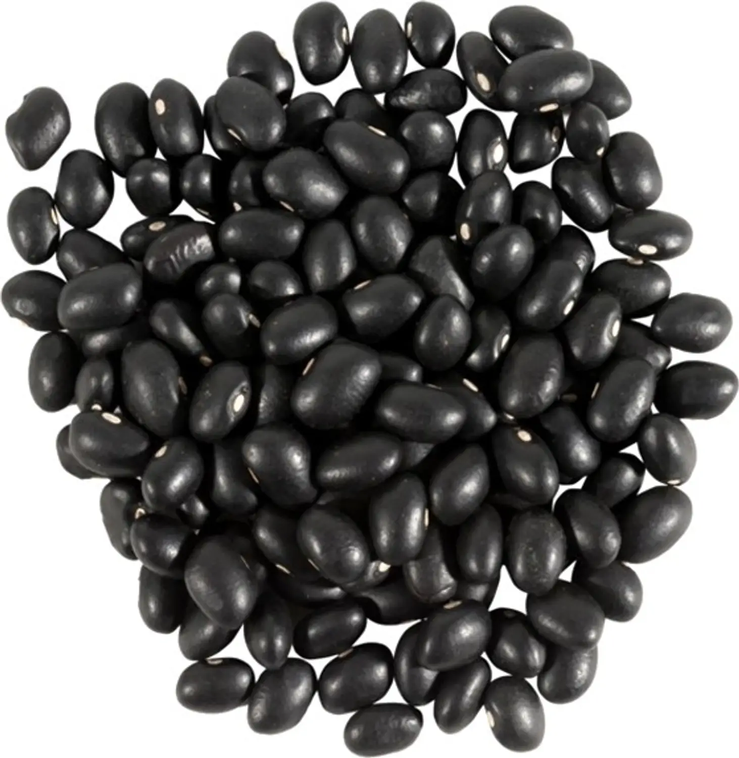 রাজমা-১০০গ্রাম (কালো)