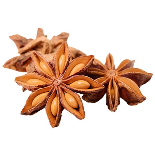 স্টার মসলা-৫০ গ্রাম