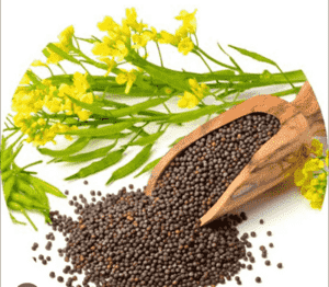 কালো সরিষা-১০০ গ্রাম
